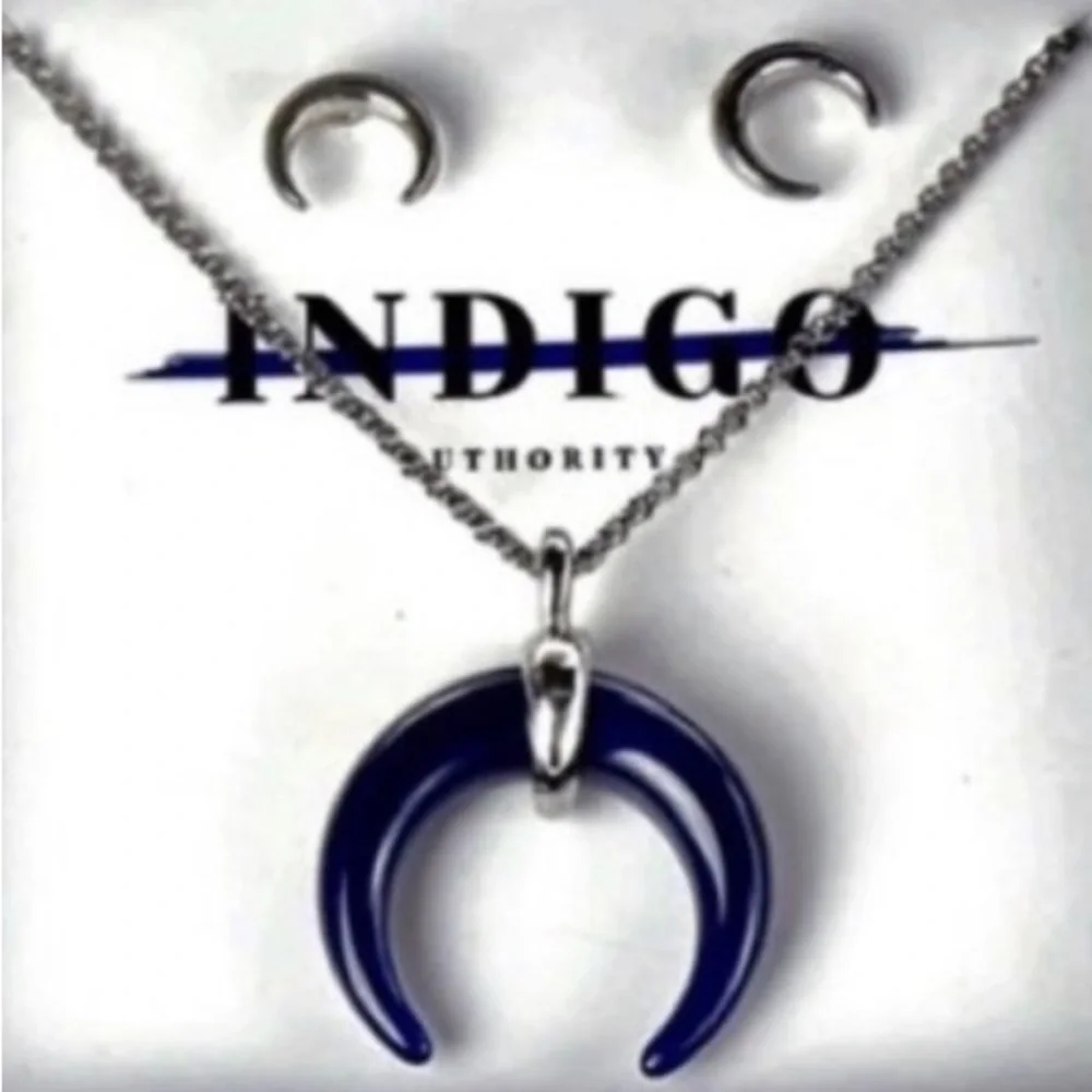 Indigo Authority Crescent Horn Necklace and Pierced Earrings Set